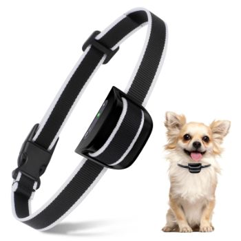 Are Anti-Bark Collars Humane Do they Affect my Dog