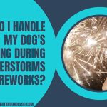 How Do I Handle My Dog's Barking During Thunderstorms Or Fireworks