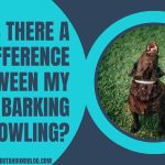 Is There A Difference Between My Dog's Barking And Howling?