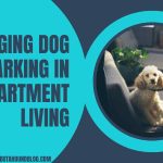 Managing Dog Barking In Apartment Living