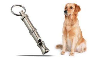 Buying Guide Best Silent Dog Whistles