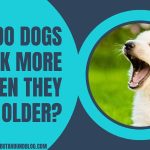 Do Dogs Bark More When They Get Older?