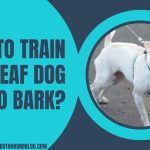How To Train A Deaf Dog Not To Bark?