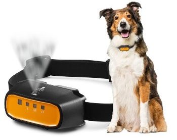 Step-by-Step Guide to Use Barking Collars to Train a Dog to Stop Barking