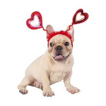 Dog Names For Valentine's Day